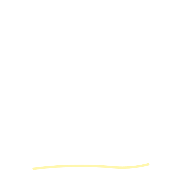 Shield with a checkmark representing website maintenance.